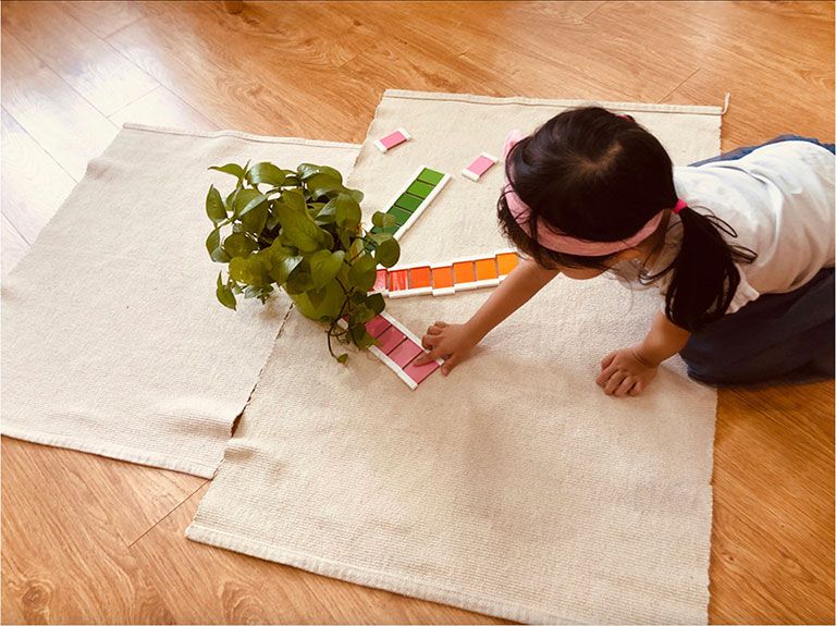 Phương pháp giáo dục Montessori – phương pháp giáo dục toàn diện